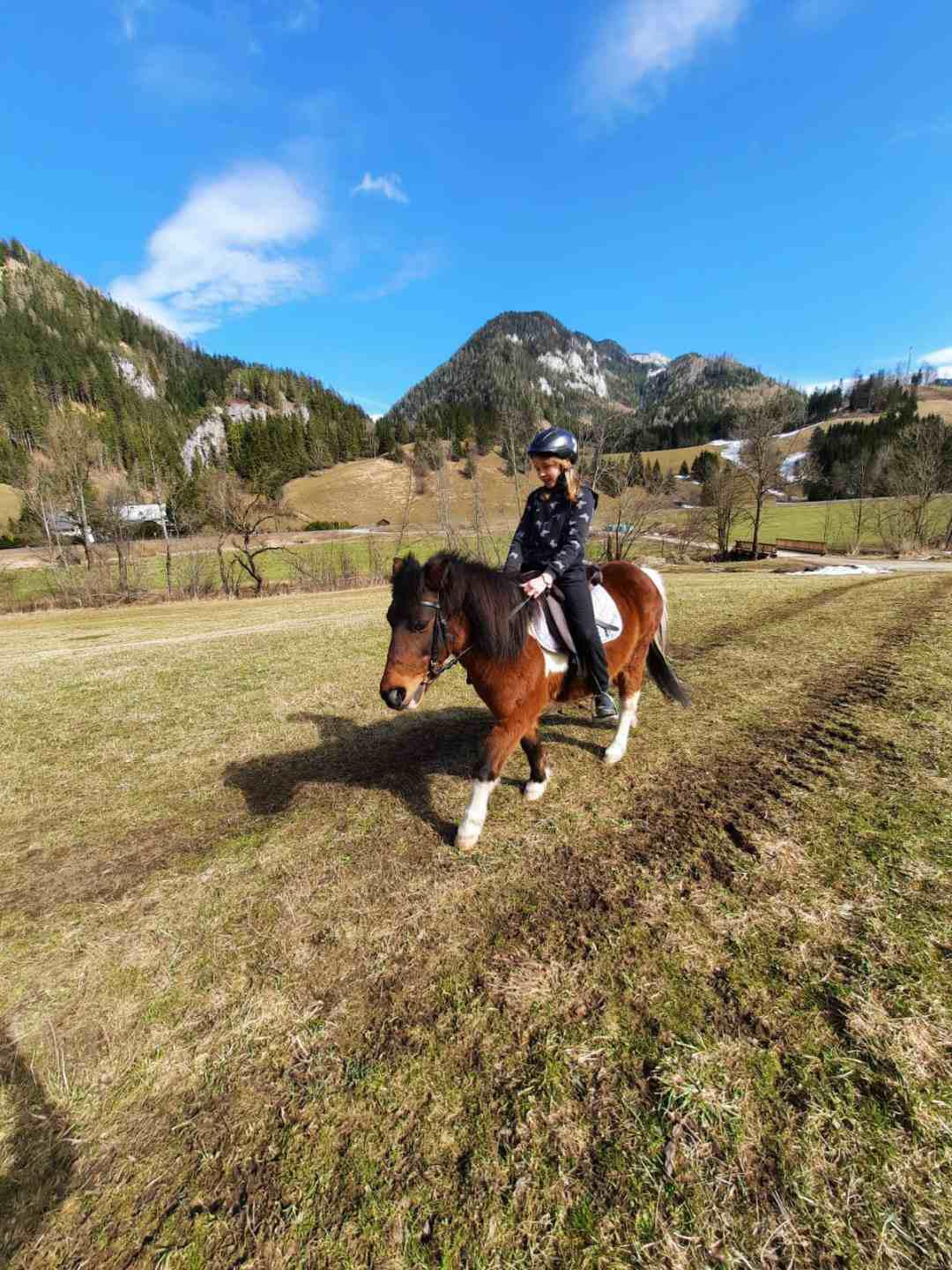 Reiten am Königbauerhof