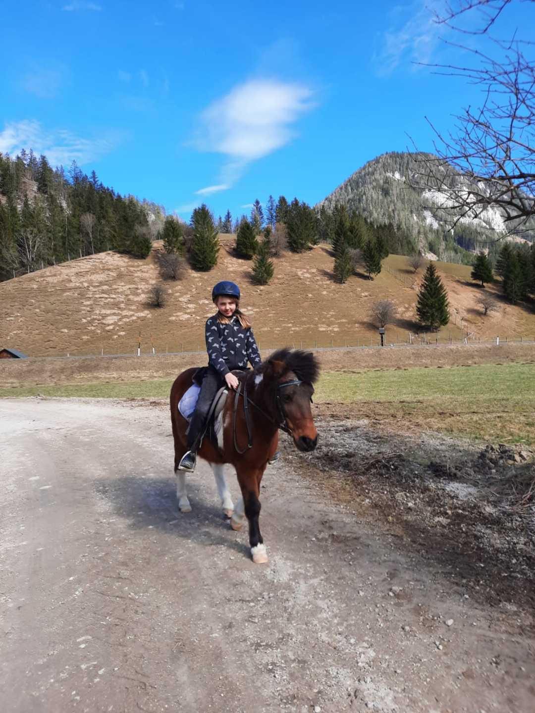 Reiten am Königbauerhof