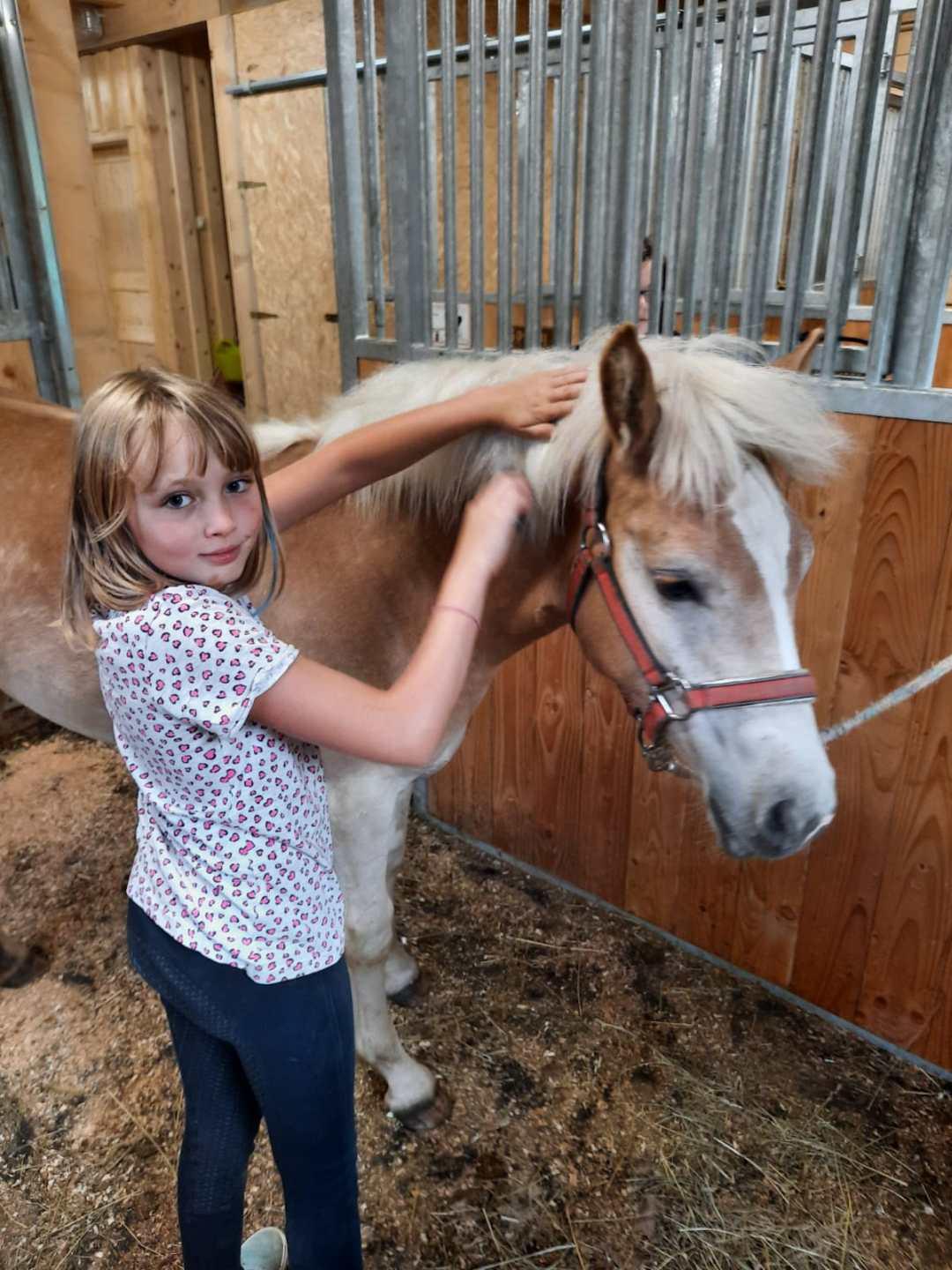 Reiten am Königbauerhof