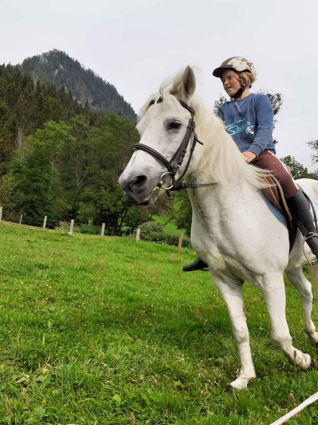 Reiten am Königbauerhof