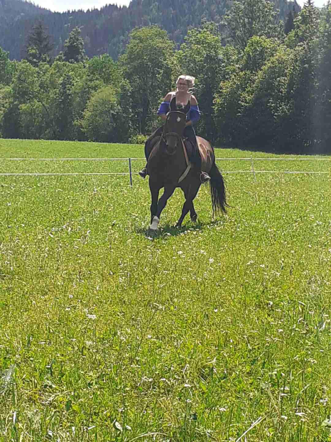 Reiten am Königbauerhof